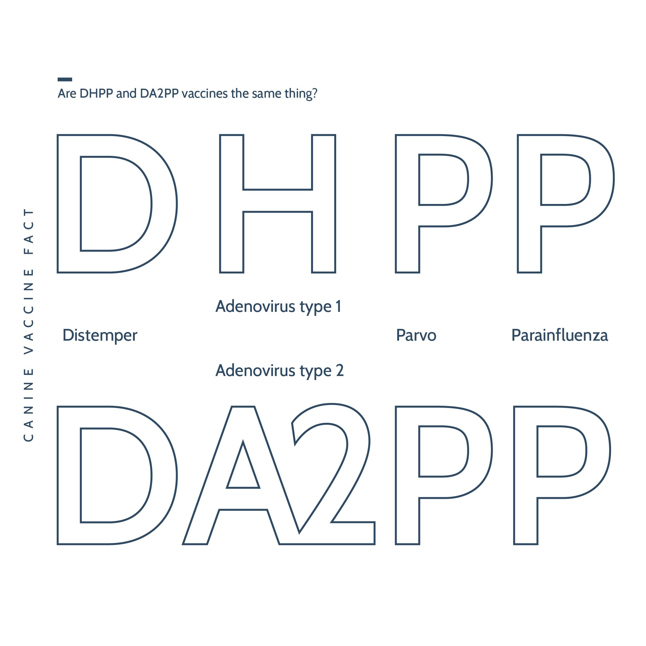 Distemper clearance parvo dapp